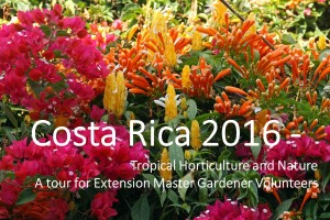 Cover photo for Extension Master Gardeners Headed to Costa Rica in 2016