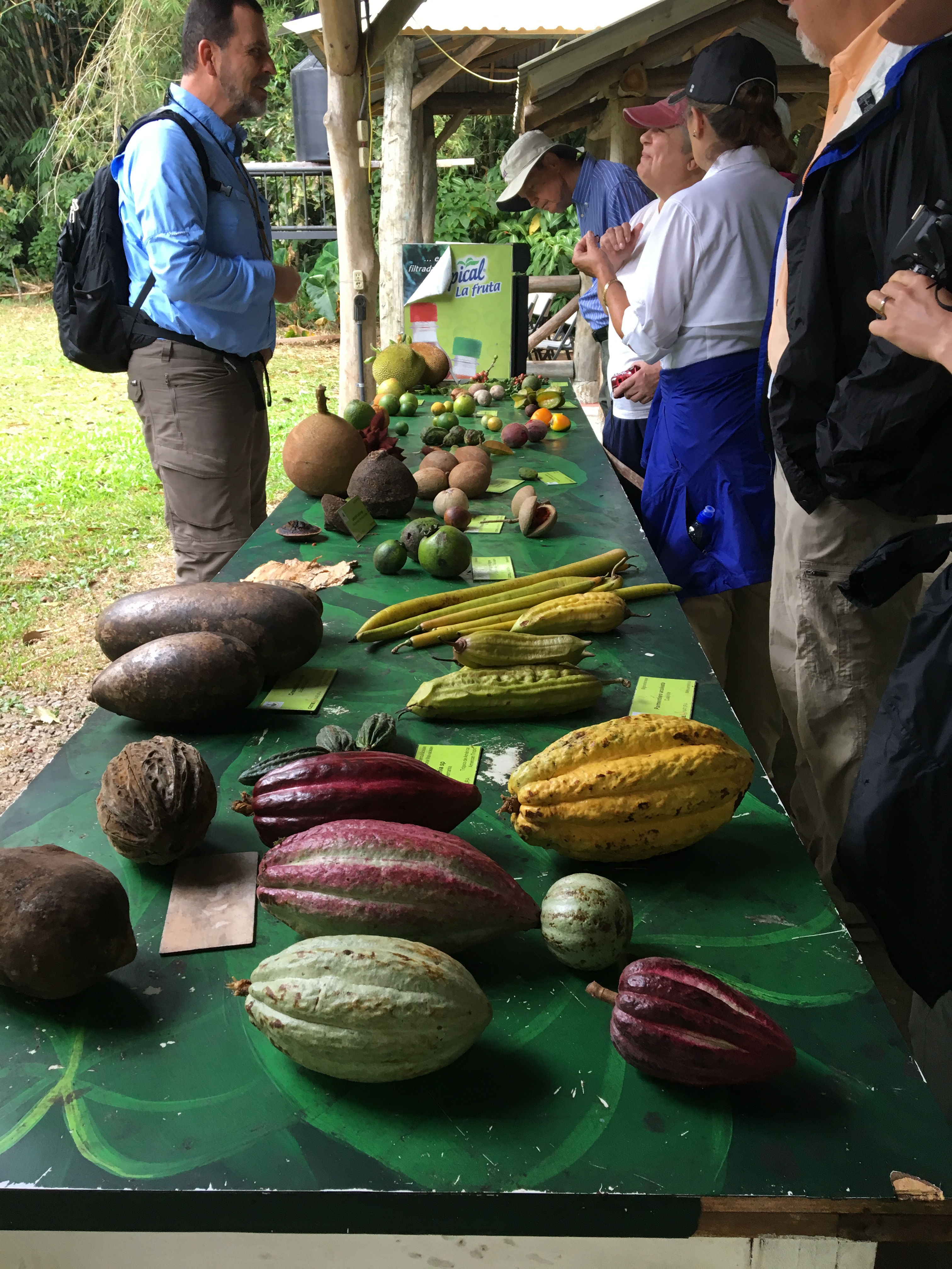 People stand beside a table displaying numerous tropical fruits.